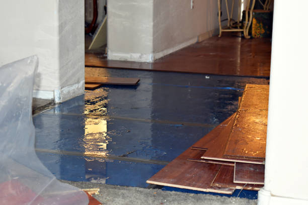 Professional Sewage Cleanup technician working in Roanoke, IN
